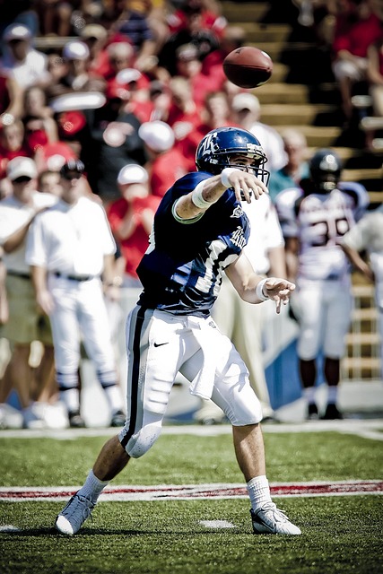 制定了有效 制定了有效